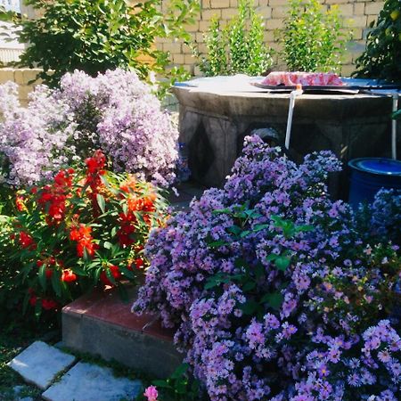 House On Ashiq Cuma Street 8 Bed and Breakfast Şǝki Eksteriør billede
