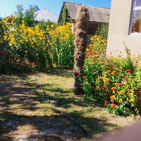House On Ashiq Cuma Street 8 Bed and Breakfast Şǝki Eksteriør billede