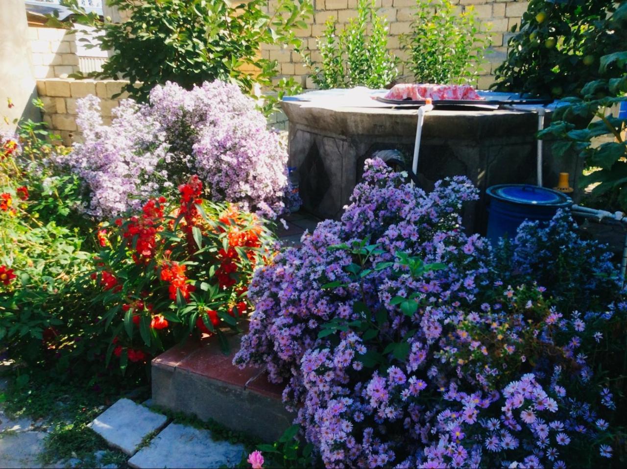 House On Ashiq Cuma Street 8 Bed and Breakfast Şǝki Eksteriør billede