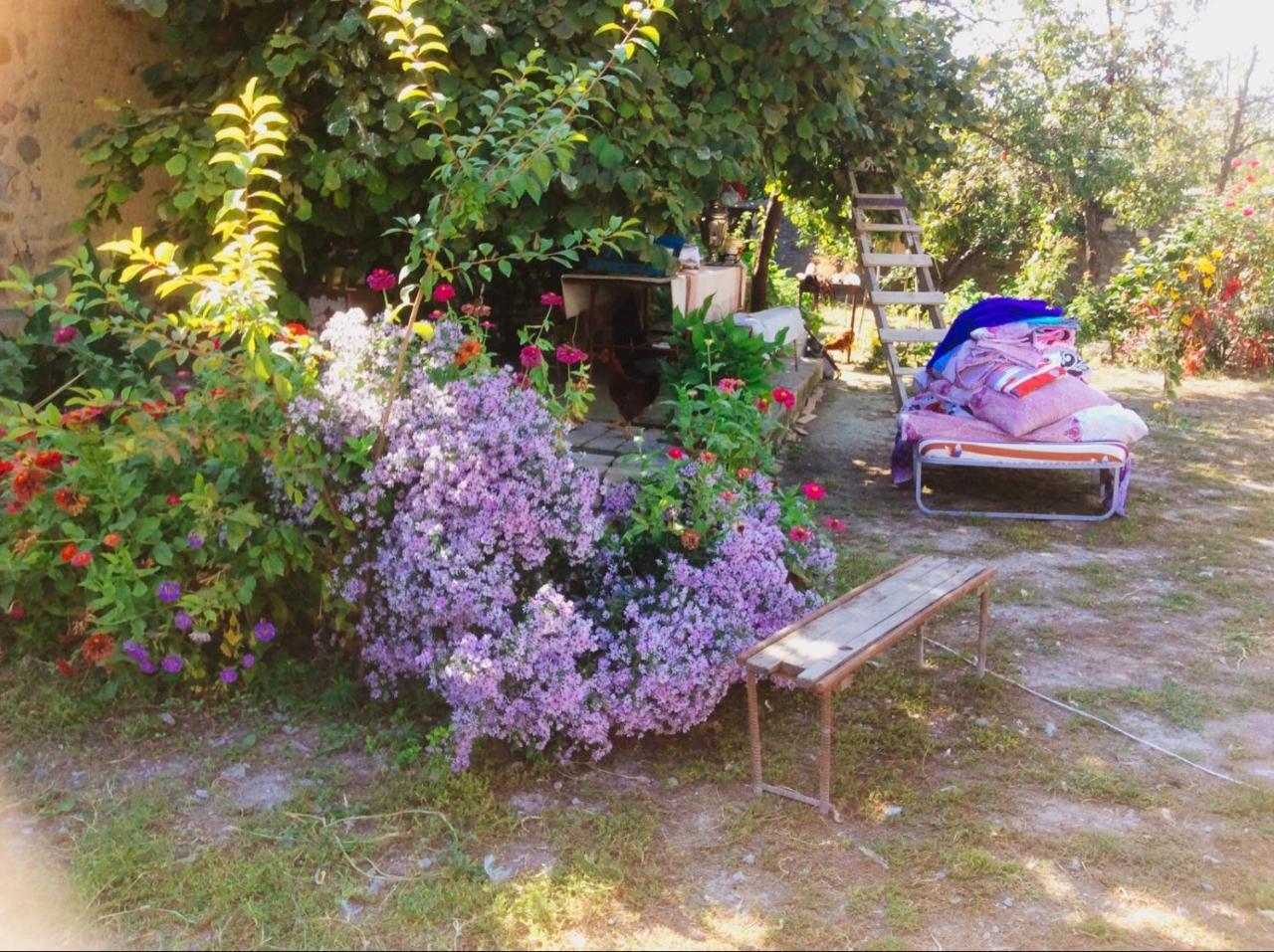 House On Ashiq Cuma Street 8 Bed and Breakfast Şǝki Eksteriør billede