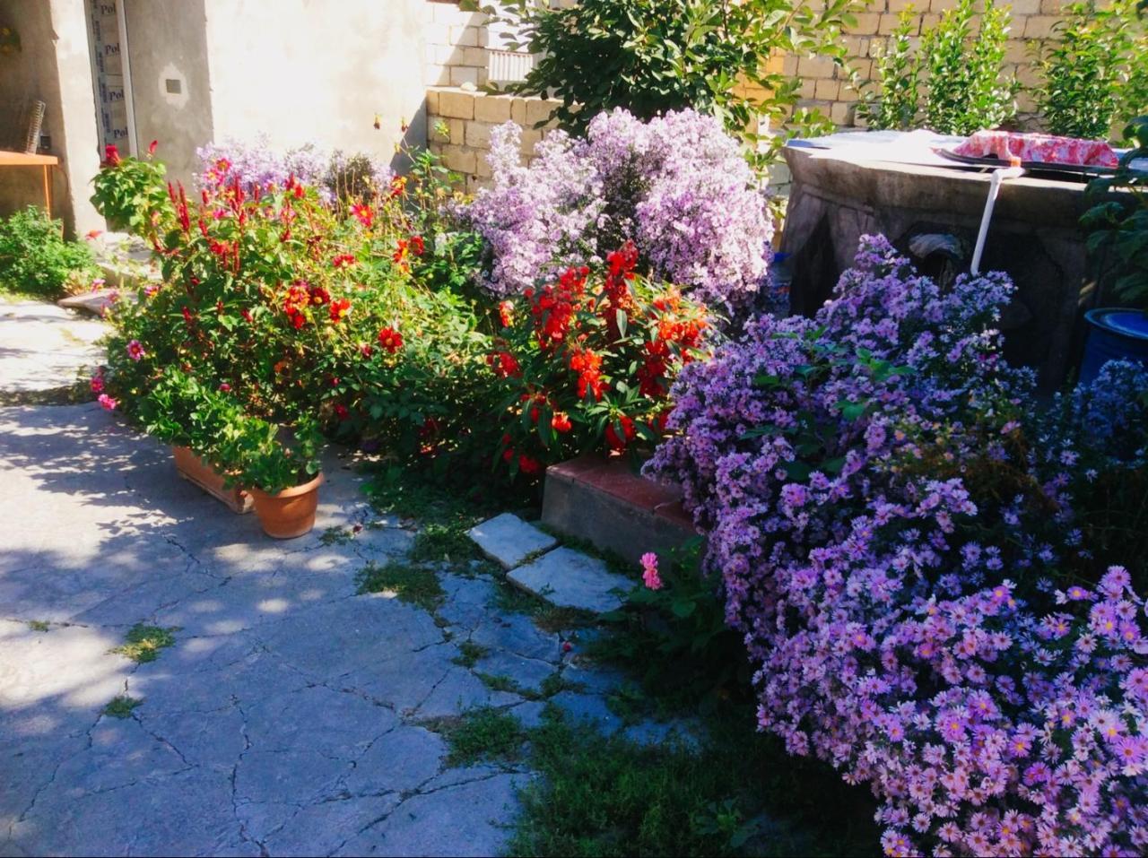 House On Ashiq Cuma Street 8 Bed and Breakfast Şǝki Eksteriør billede